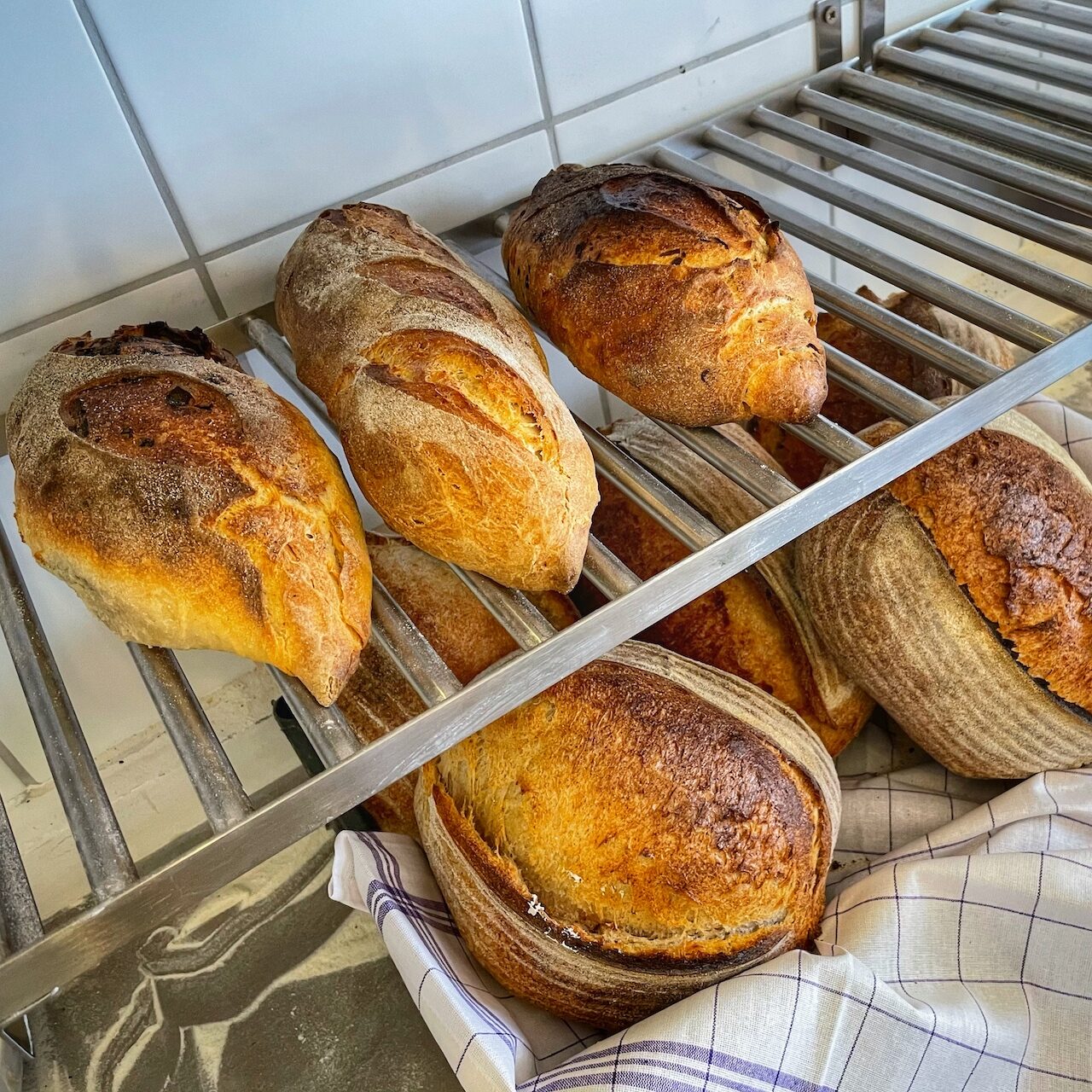 Zoli kovászos házi kenyerei rendelhetők