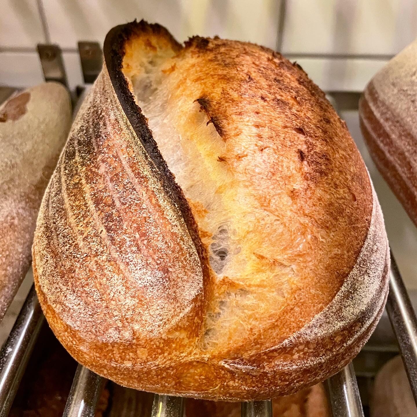 Zoli kovászos házi kenyerei rendelhetők