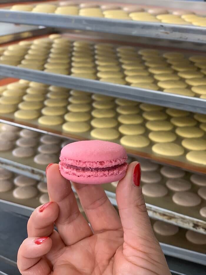 Macaronkészítő workshop