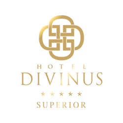 Hotel Divinus