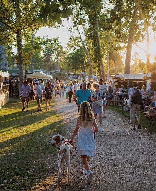 kutyabarát SVÉT 15. TATA