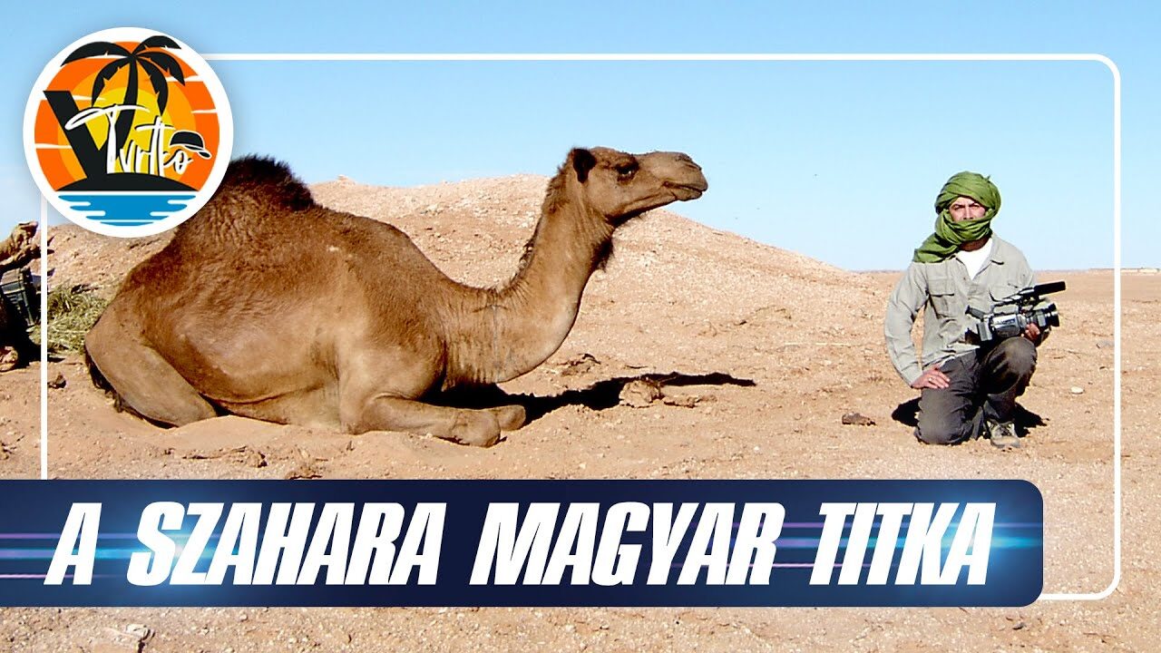 A Szahara magyar titka