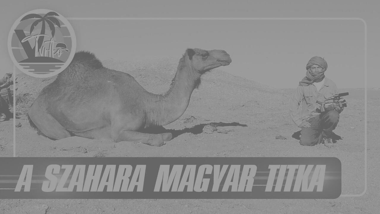 A Szahara magyar titka