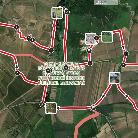 Mád Wine Challenge 12 km-es dűlőtúrája