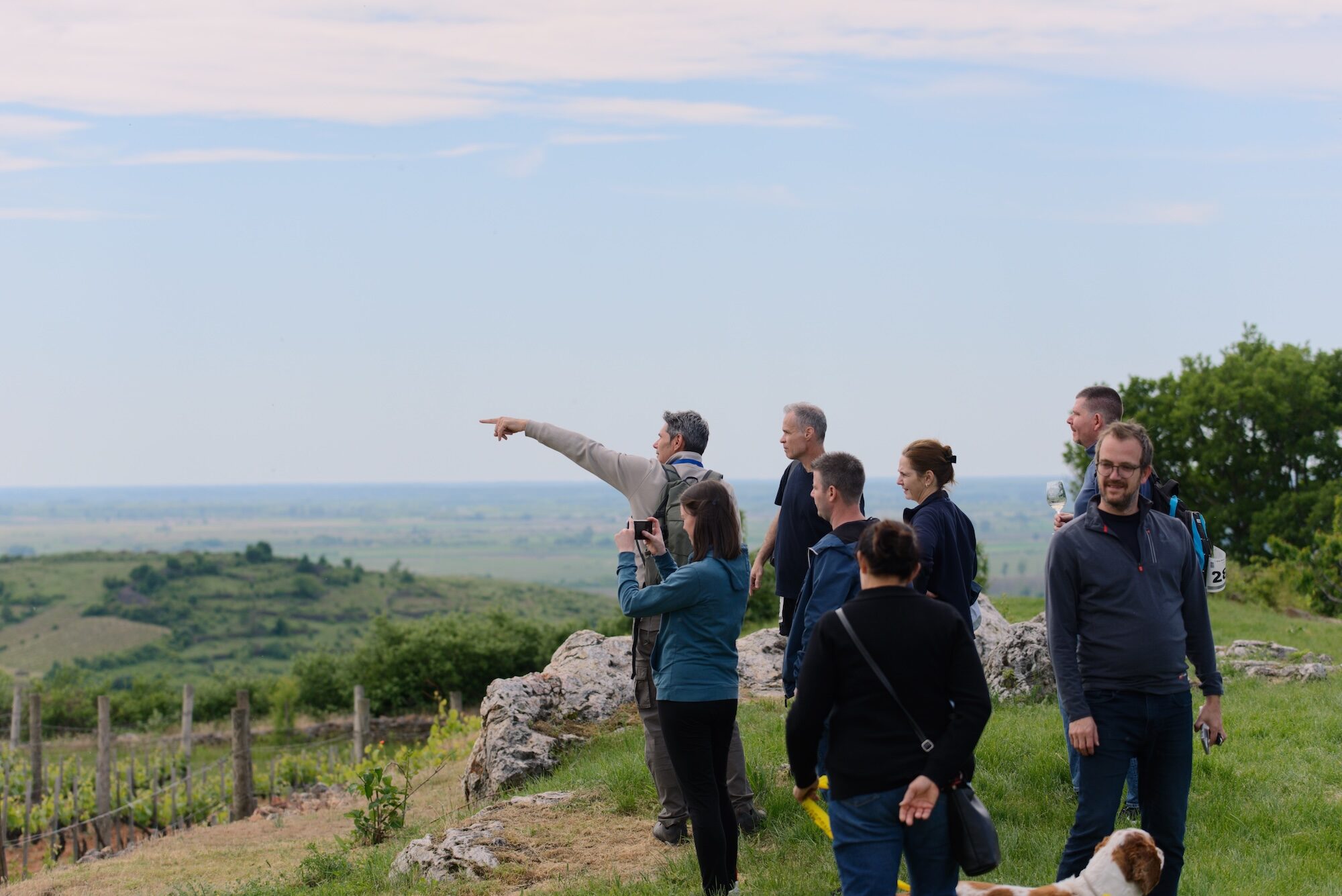 Mád Wine Challenge Borissza hétpróba útvonala 8 km